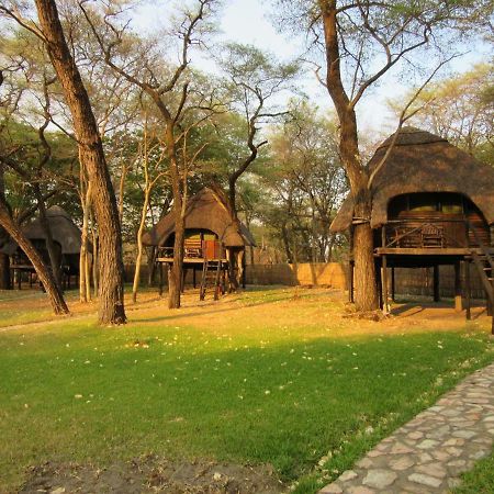 The Tree Lodge At SikumiDete エクステリア 写真