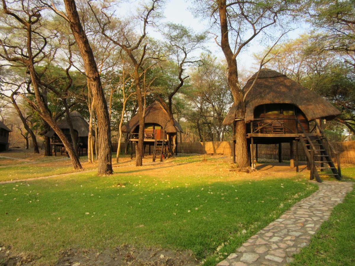 The Tree Lodge At SikumiDete エクステリア 写真