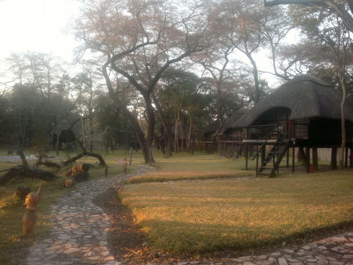 The Tree Lodge At SikumiDete エクステリア 写真