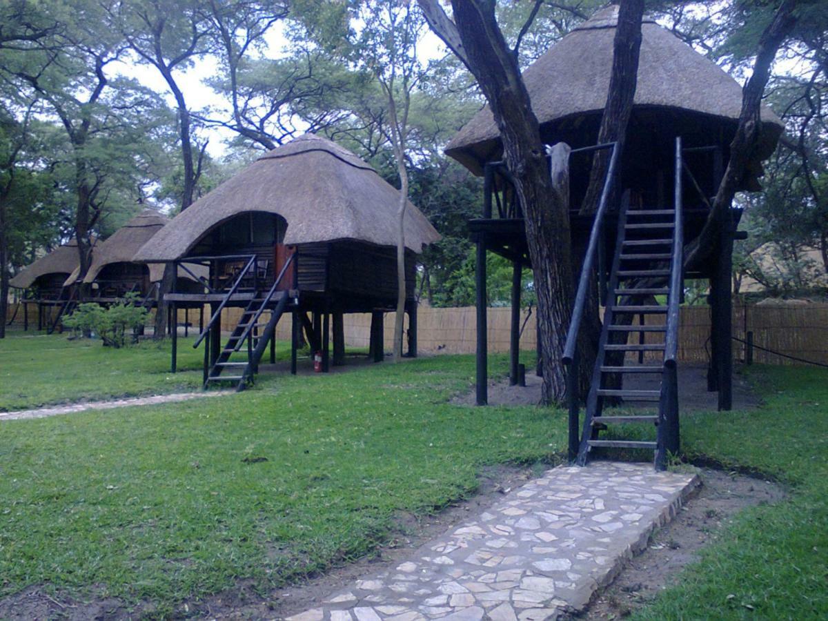 The Tree Lodge At SikumiDete エクステリア 写真